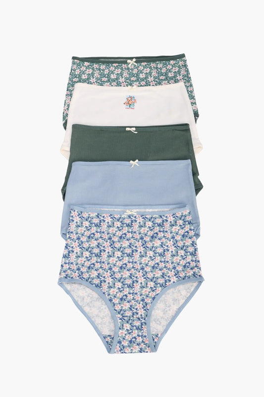 Pack of 5 Colored Full Brief Panties