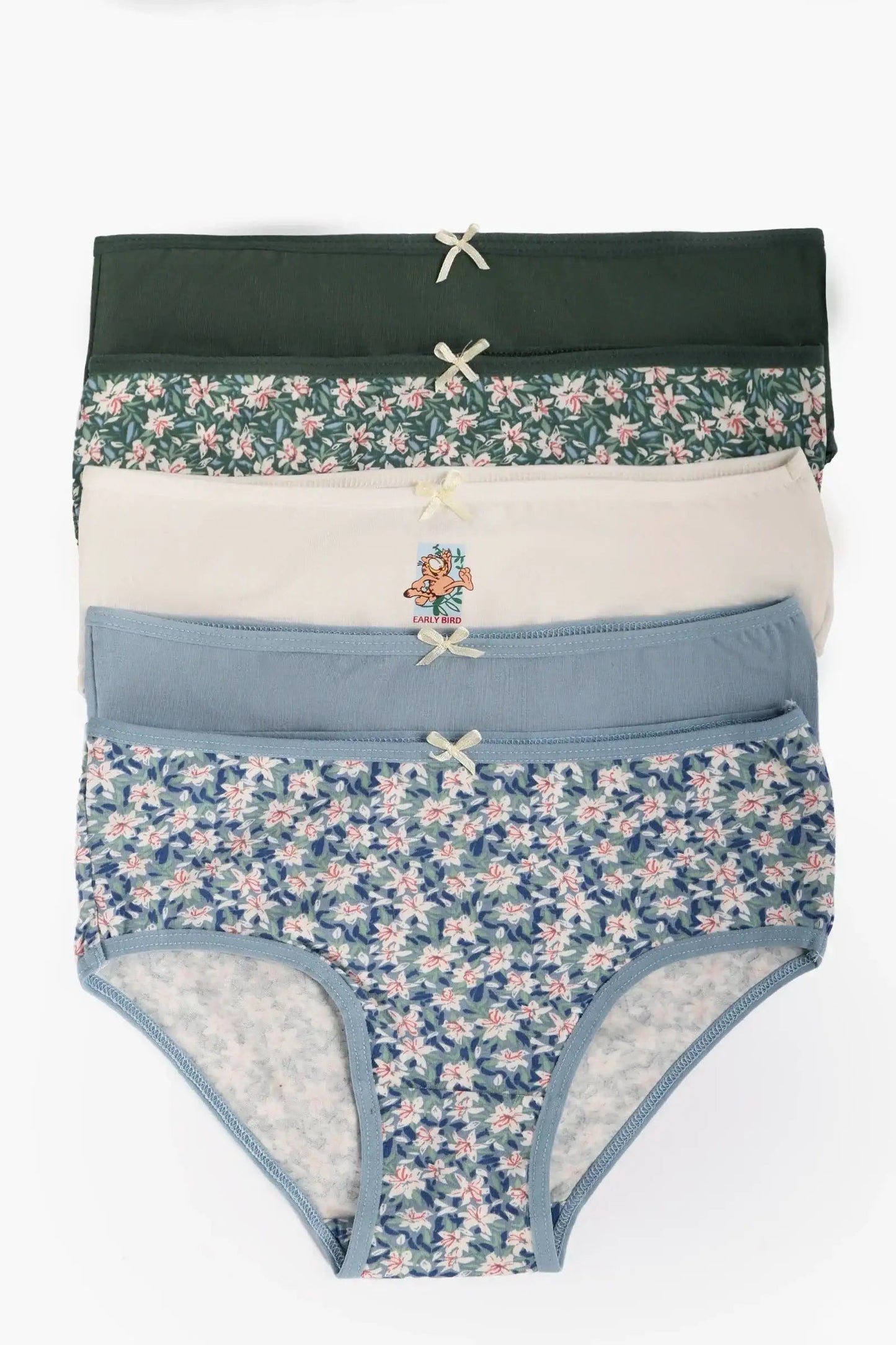 Pack of 5 Colored Brief Panties