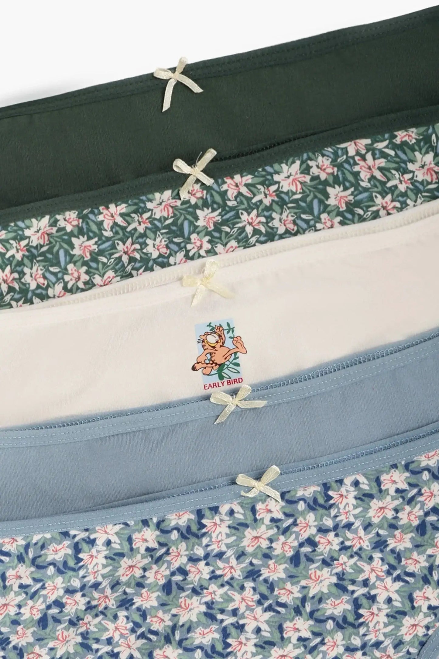 Pack of 5 Colored Brief Panties