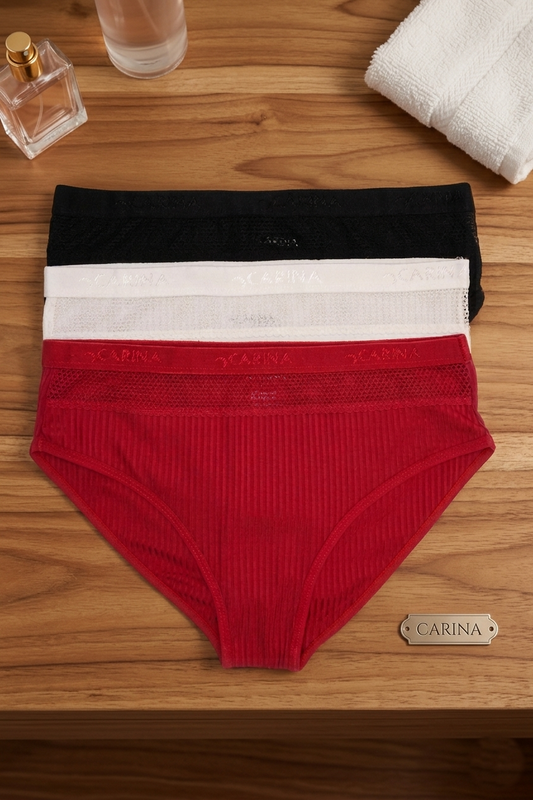Pack of 3 Colored Brief Panties