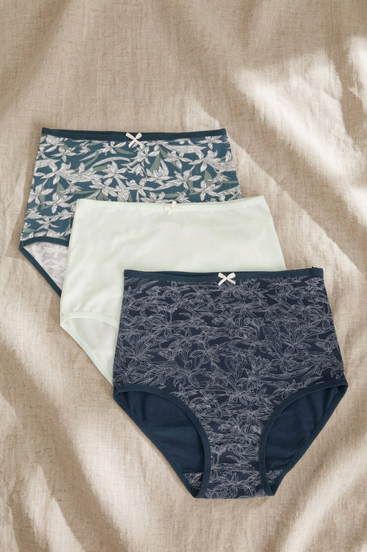 Pack of 3 Colored Full Brief Panties