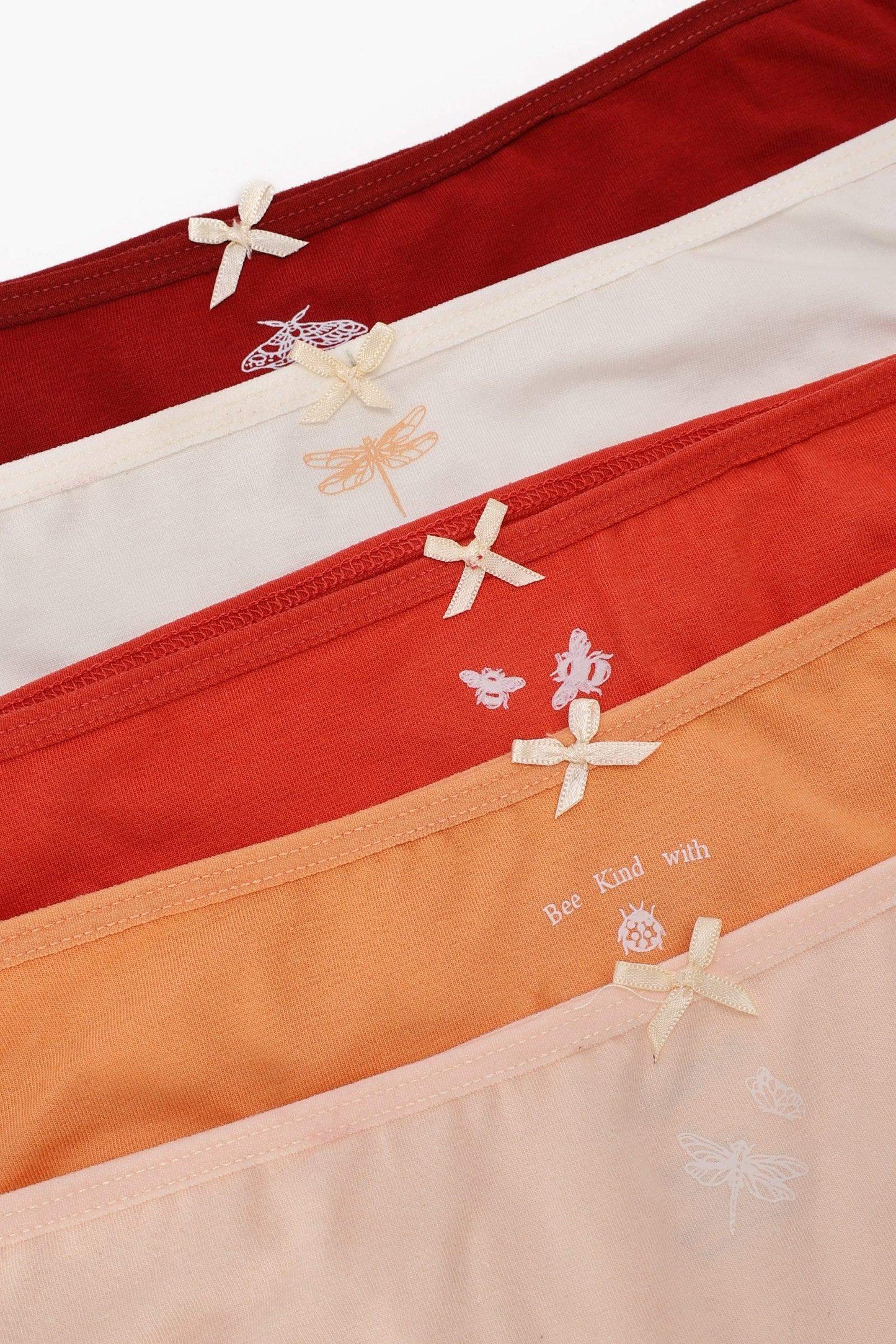 Pack of 5 Colored Bikini Panties