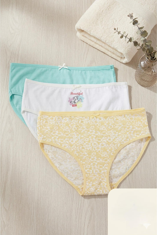 Pack of 3 Colored Brief Panties