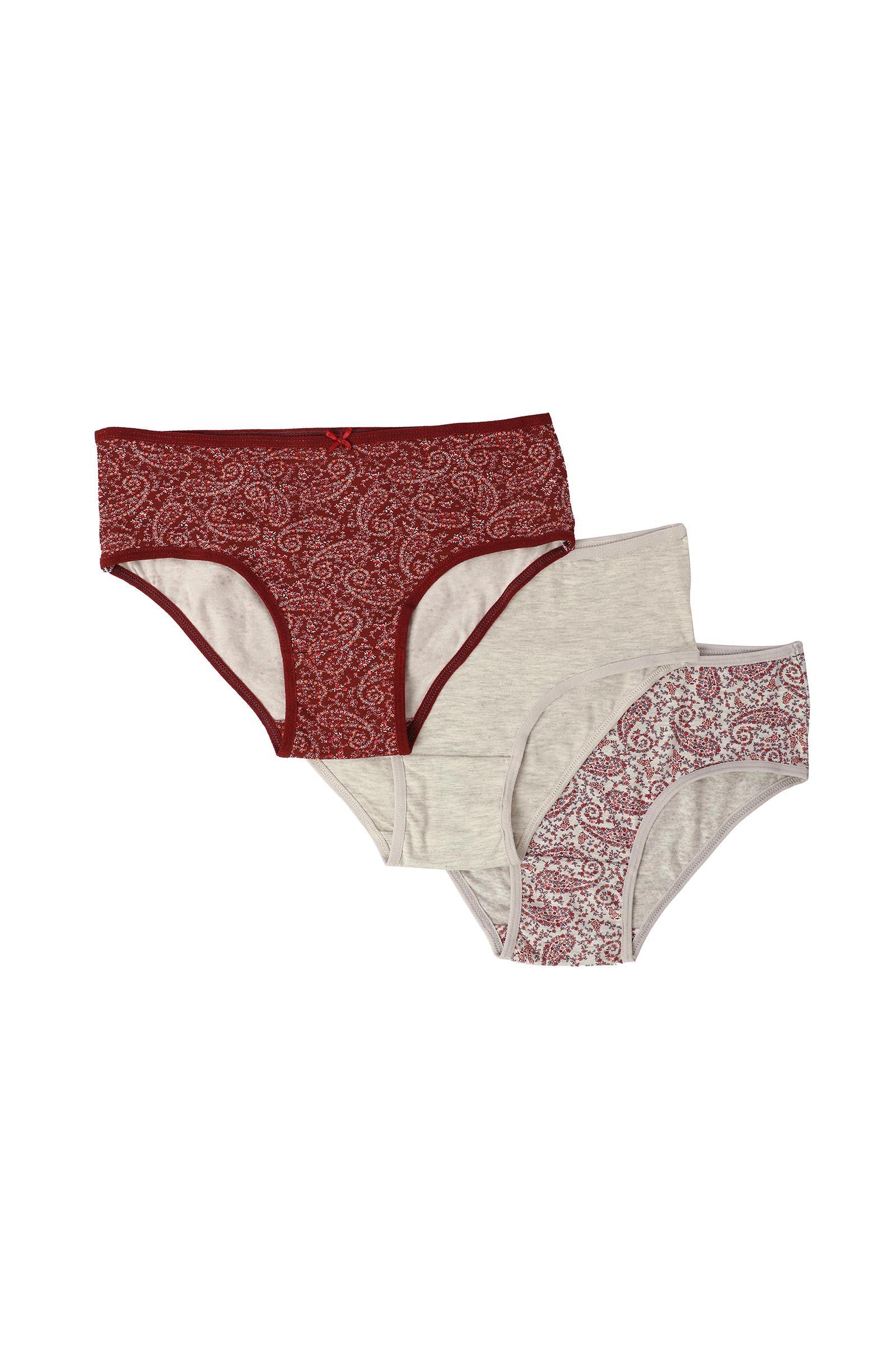 Pack of 3 Cotton Brief Panties - Carina - كارينا